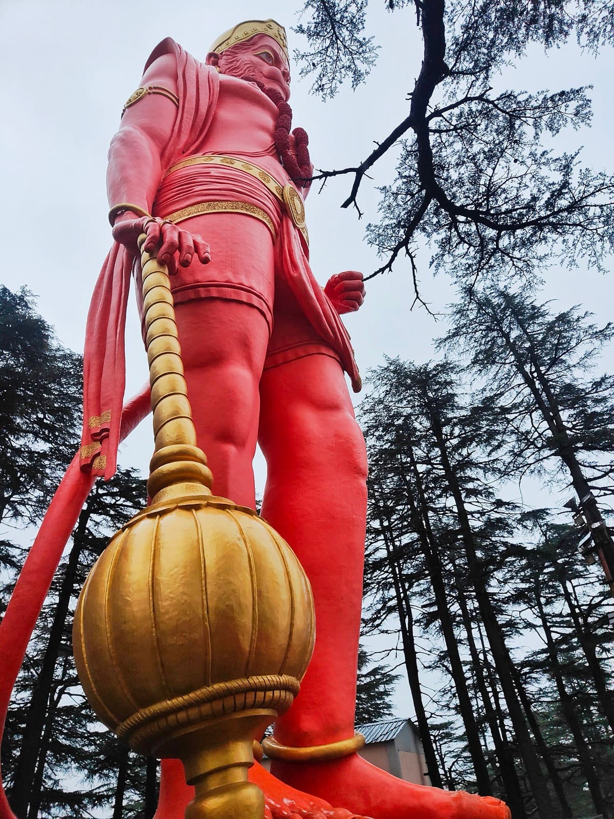 Low angle view of a giant orange Hanuman statue holding a golden mace among deodar trees