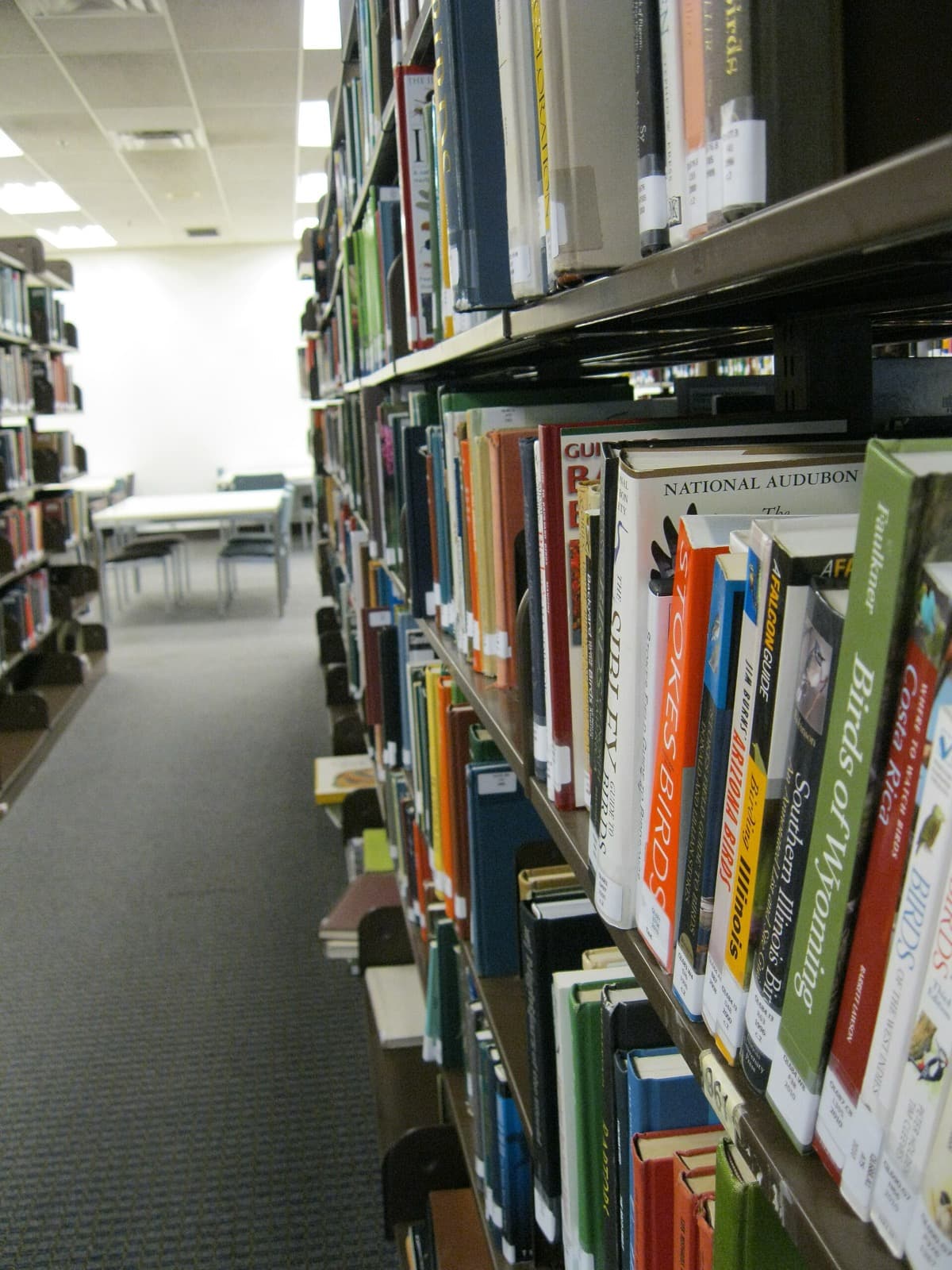 Rows of books on shelves inside the Undergraduate Library with study tables behind